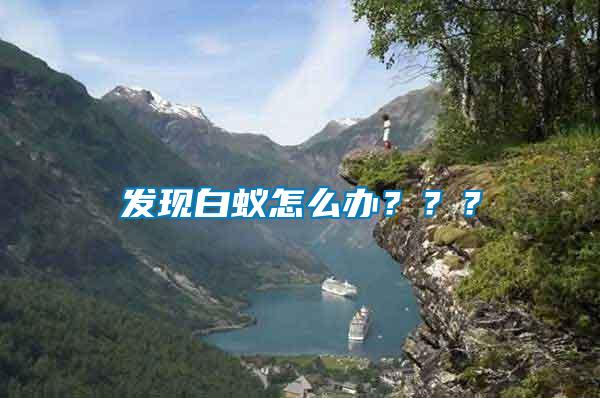 發(fā)現白蟻怎么辦？？？