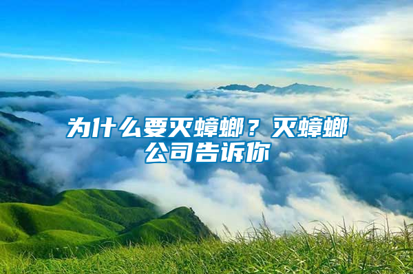 為什么要滅蟑螂?滅蟑螂公司告訴你