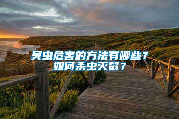 臭蟲危害的方法有哪些？如何殺蟲滅鼠？