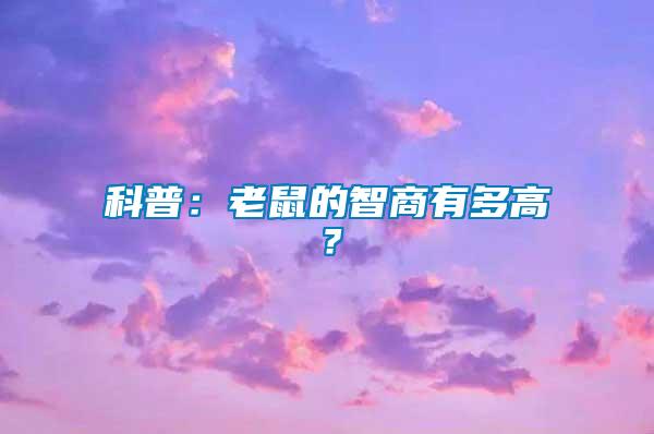科普:老鼠的智商有多高?