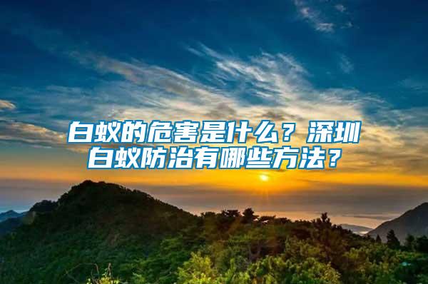 白蟻的危害是什么？深圳白蟻防治有哪些方法？