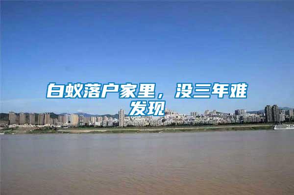 白蟻落戶家里，沒三年難發(fā)現