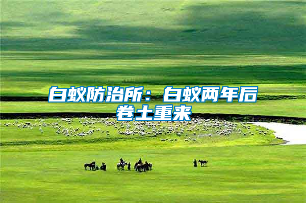 白蟻防治所:白蟻兩年后卷土重來