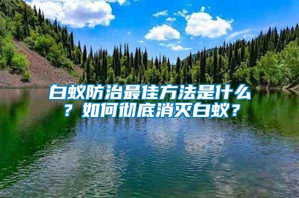 白蟻防治最佳方法是什么？如何徹底消滅白蟻？