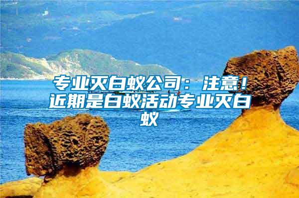專業(yè)滅白蟻公司：注意！近期是白蟻活動專業(yè)滅白蟻