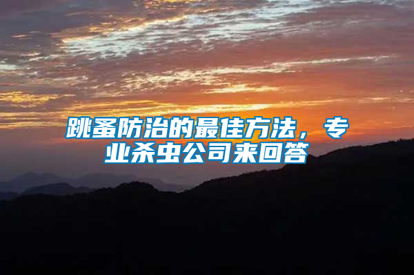 跳蚤防治的最佳方法,專業(yè)殺蟲公司來回答