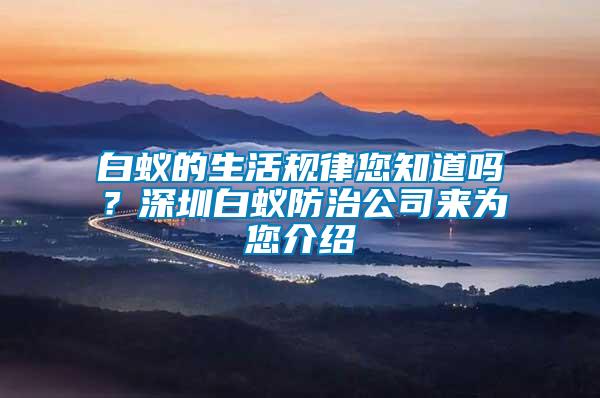 白蟻的生活規(guī)律您知道嗎？深圳白蟻防治公司來為您介紹