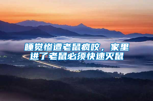 睡覺慘遭老鼠瘋咬，家里進了老鼠必須快速滅鼠