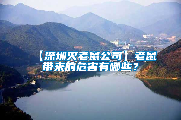 【深圳滅老鼠公司】老鼠帶來(lái)的危害有哪些？