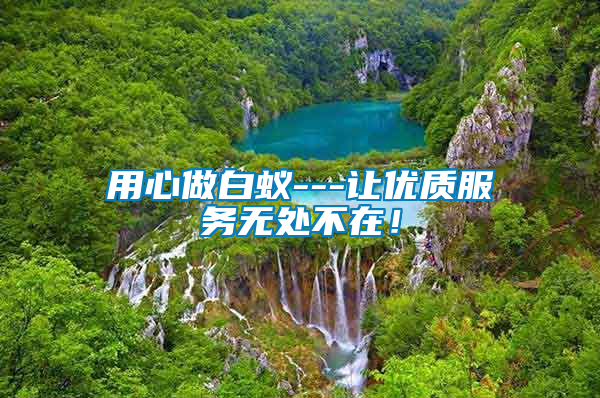 用心做白蟻---讓優(yōu)質(zhì)服務無處不在!