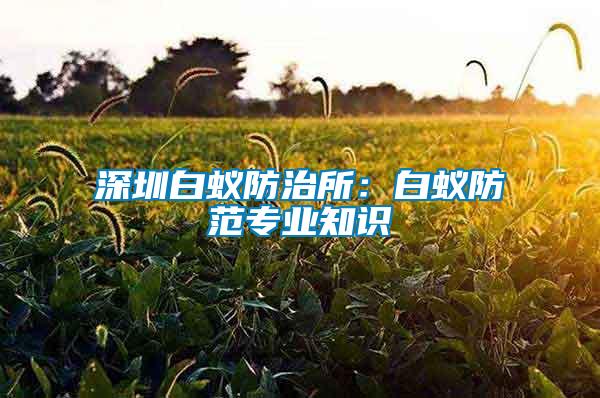 深圳白蟻防治所：白蟻防范專業(yè)知識(shí)