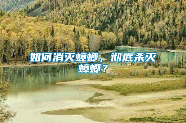 如何消滅蟑螂，徹底殺滅蟑螂？