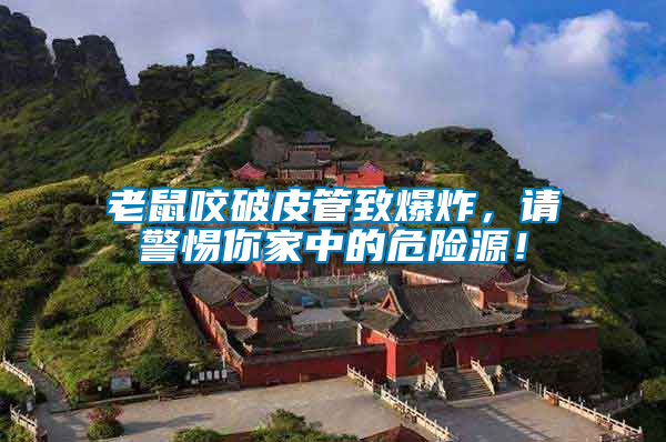 老鼠咬破皮管致爆炸，請(qǐng)警惕你家中的危險(xiǎn)源！