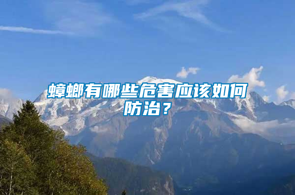 蟑螂有哪些危害應(yīng)該如何防治？