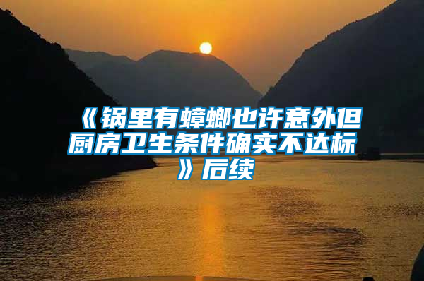 《鍋里有蟑螂也許意外但廚房衛(wèi)生條件確實不達標(biāo)》后續(xù)