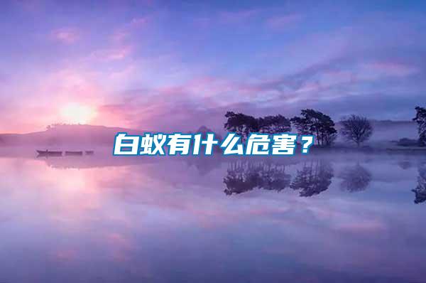 白蟻有什么危害？