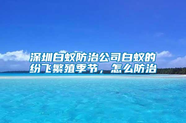 深圳白蟻防治公司白蟻的紛飛繁殖季節(jié)，怎么防治