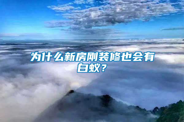 為什么新房剛裝修也會有白蟻？