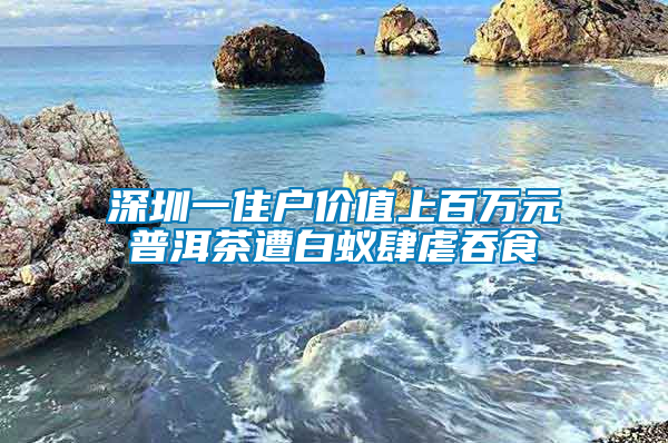 深圳一住戶價(jià)值上百萬(wàn)元普洱茶遭白蟻肆虐吞食