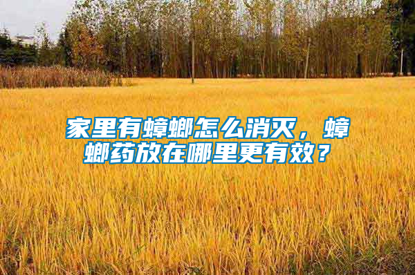 家里有蟑螂怎么消滅，蟑螂藥放在哪里更有效？