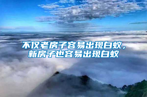 不僅老房子容易出現(xiàn)白蟻，新房子也容易出現(xiàn)白蟻
