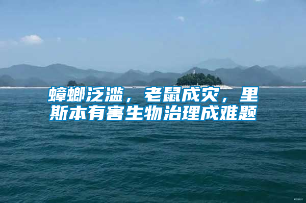 蟑螂泛濫，老鼠成災(zāi)，里斯本有害生物治理成難題