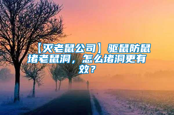 【滅老鼠公司】驅鼠防鼠堵老鼠洞，怎么堵洞更有效？