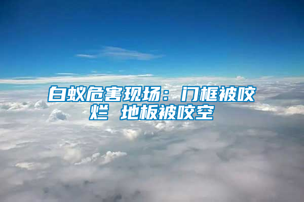 白蟻危害現(xiàn)場(chǎng):門框被咬爛 地板被咬空