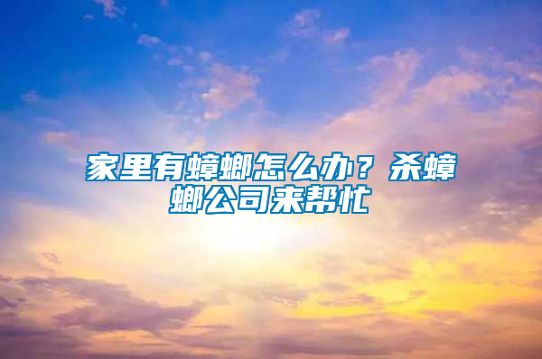 家里有蟑螂怎么辦？殺蟑螂公司來(lái)幫忙