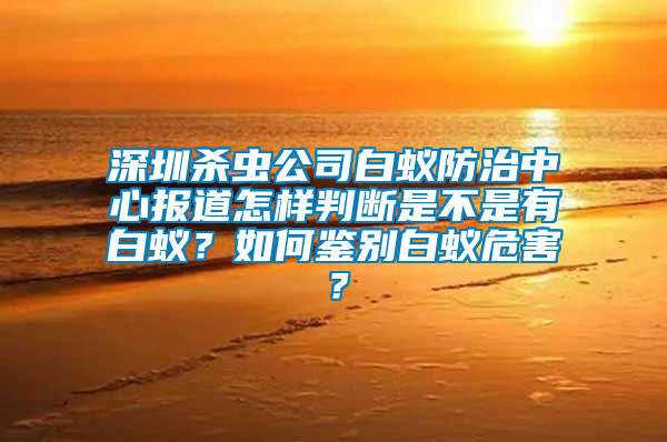 深圳殺蟲公司白蟻防治中心報道怎樣判斷是不是有白蟻？如何鑒別白蟻危害？