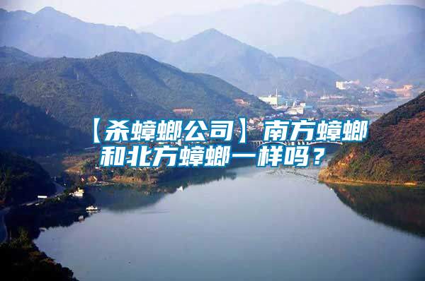 【殺蟑螂公司】南方蟑螂和北方蟑螂一樣嗎？