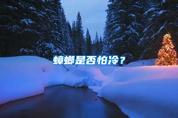 蟑螂是否怕冷？