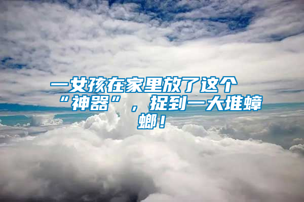 一女孩在家里放了這個“神器”，捉到一大堆蟑螂！