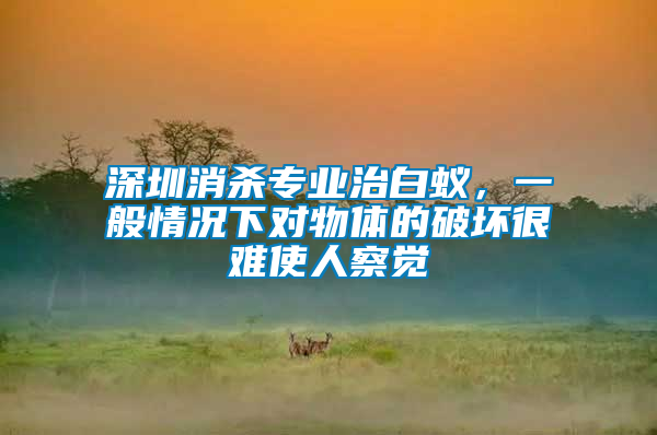 深圳消殺專業(yè)治白蟻，一般情況下對(duì)物體的破壞很難使人察覺(jué)