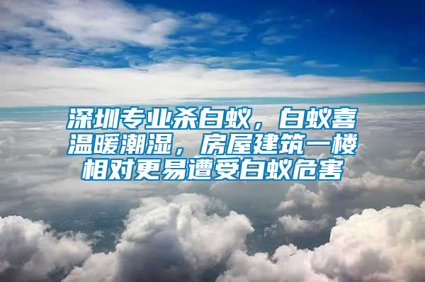 深圳專業(yè)殺白蟻，白蟻喜溫暖潮濕，房屋建筑一樓相對(duì)更易遭受白蟻危害