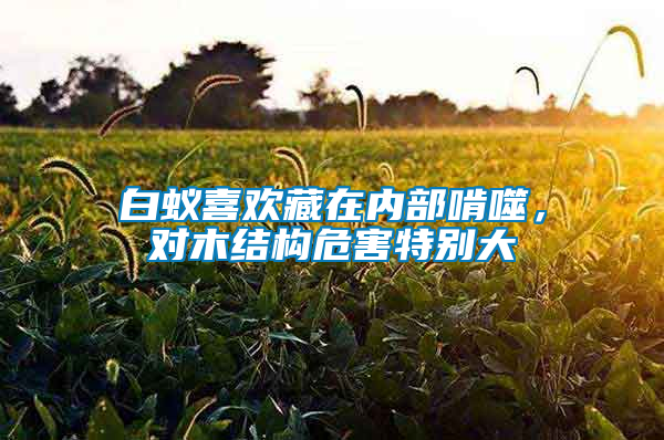 白蟻喜歡藏在內(nèi)部啃噬，對(duì)木結(jié)構(gòu)危害特別大