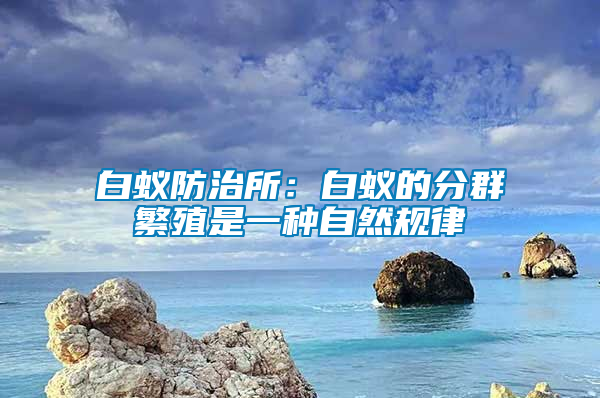 白蟻防治所:白蟻的分群繁殖是一種自然規(guī)律