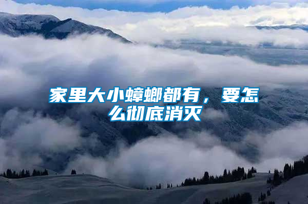 家里大小蟑螂都有，要怎么徹底消滅