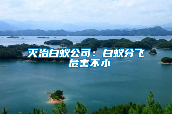 滅治白蟻公司:白蟻分飛 危害不小