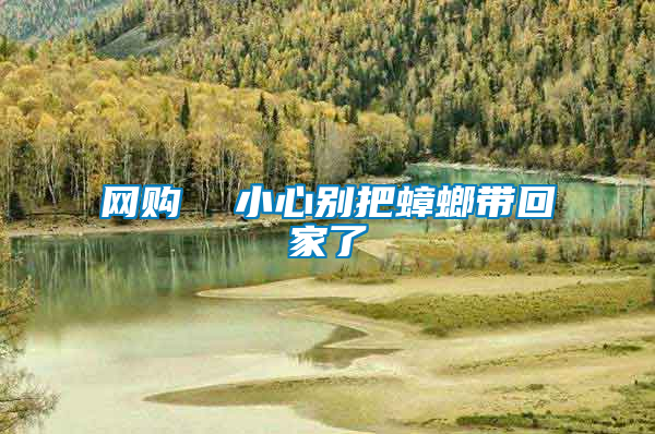 網(wǎng)購 小心別把蟑螂帶回家了