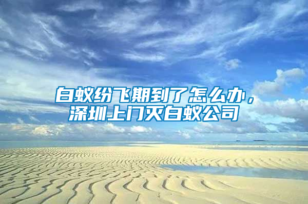 白蟻紛飛期到了怎么辦,深圳上門滅白蟻公司