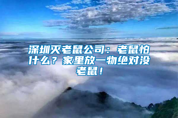 深圳滅老鼠公司：老鼠怕什么？家里放一物絕對(duì)沒老鼠！