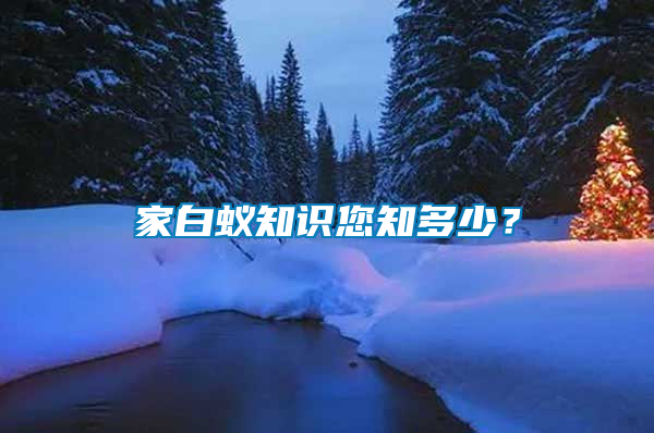 家白蟻知識(shí)您知多少？