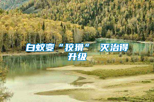 白蟻?zhàn)儭敖苹?滅治得升級(jí)