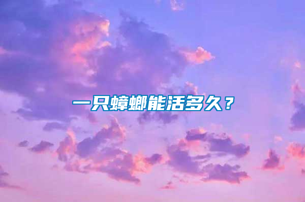 一只蟑螂能活多久？