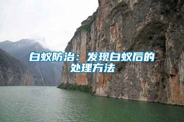 白蟻防治:發(fā)現(xiàn)白蟻后的處理方法