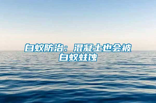白蟻防治:混凝土也會(huì)被白蟻蛀蝕